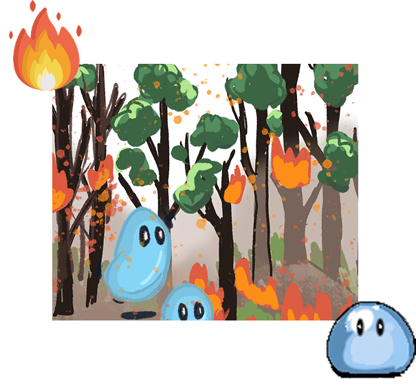 Forest Fires